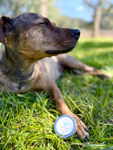 Load image into Gallery viewer, Dog Balm
